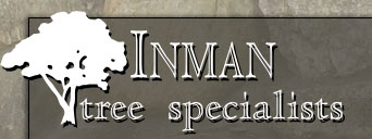 Inman Tree Specialists - Falmouth Cape Cod Tree, Shrub, Lawn Care Specialists. Check out our web site for photos of our exceptional work.